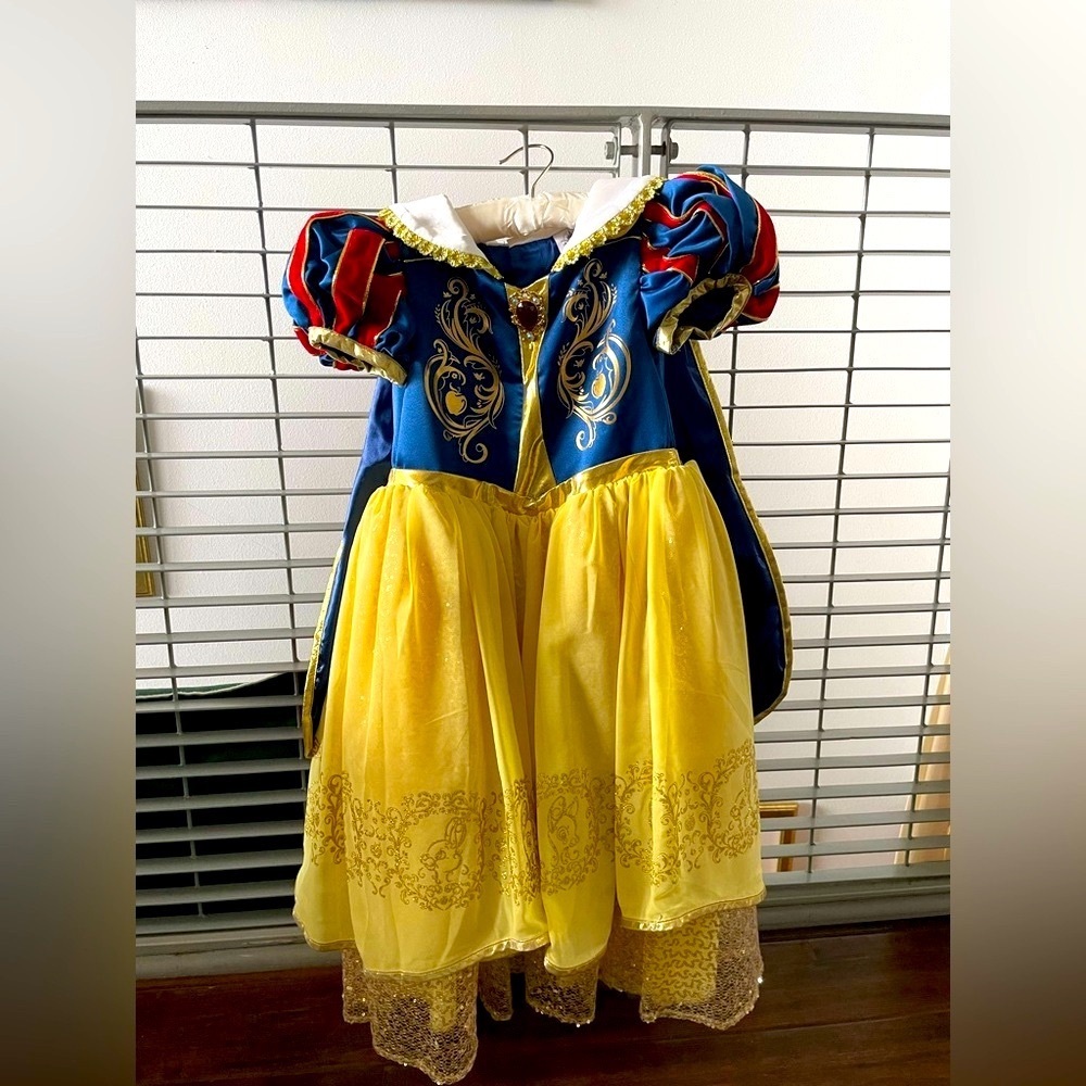 Disney Blue and Yellow Princess Dress with Gold Accents